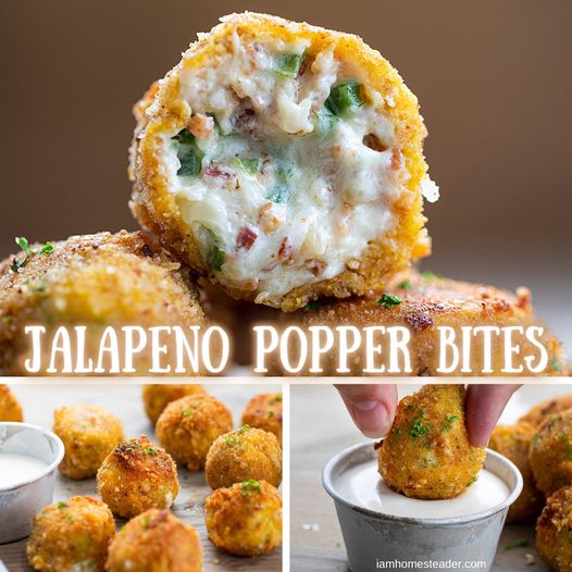 JALAPENO POPPER BITES Grandma's Simple Recipes
