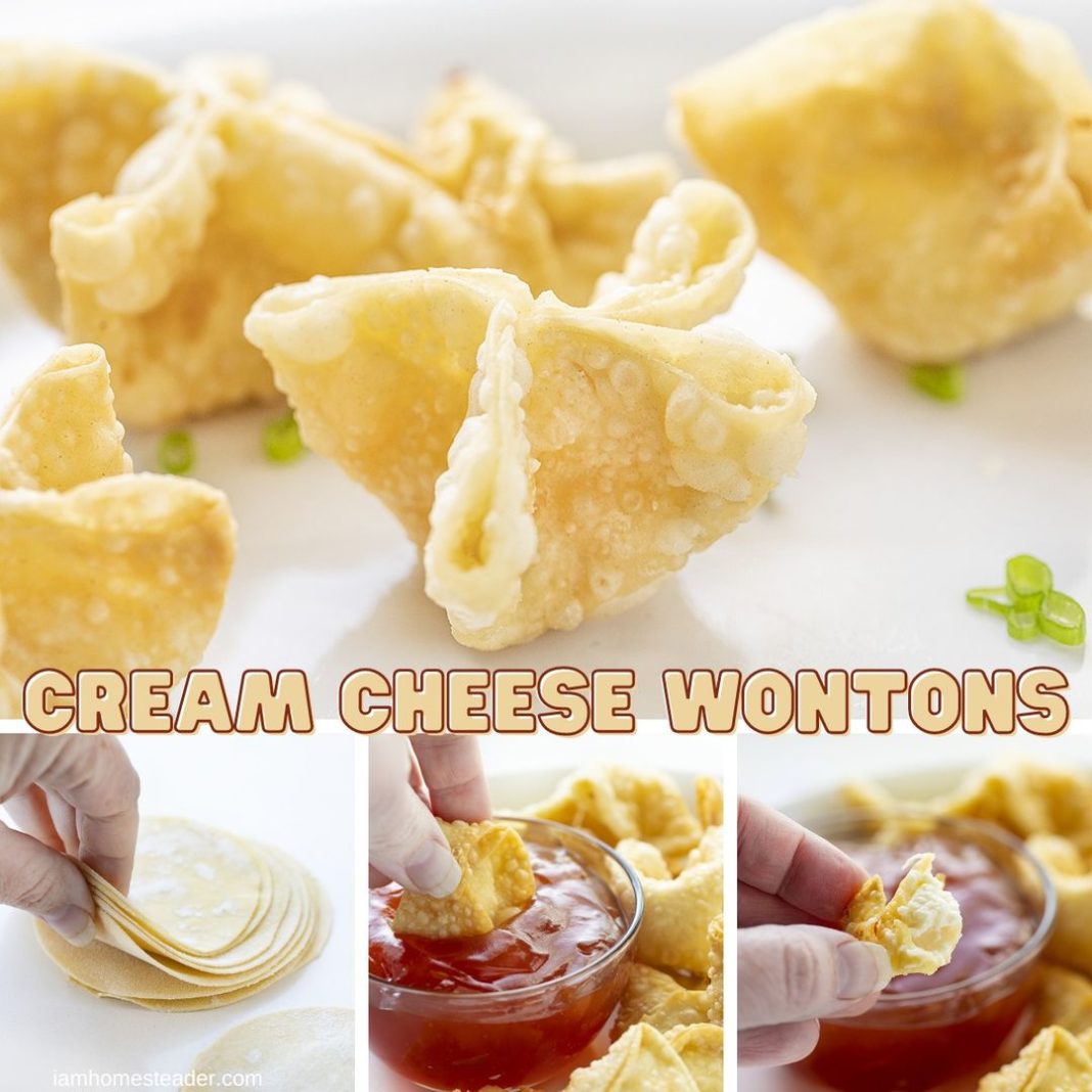 HOMEMADE CREAM CHEESE WONTONS Grandma's Simple Recipes