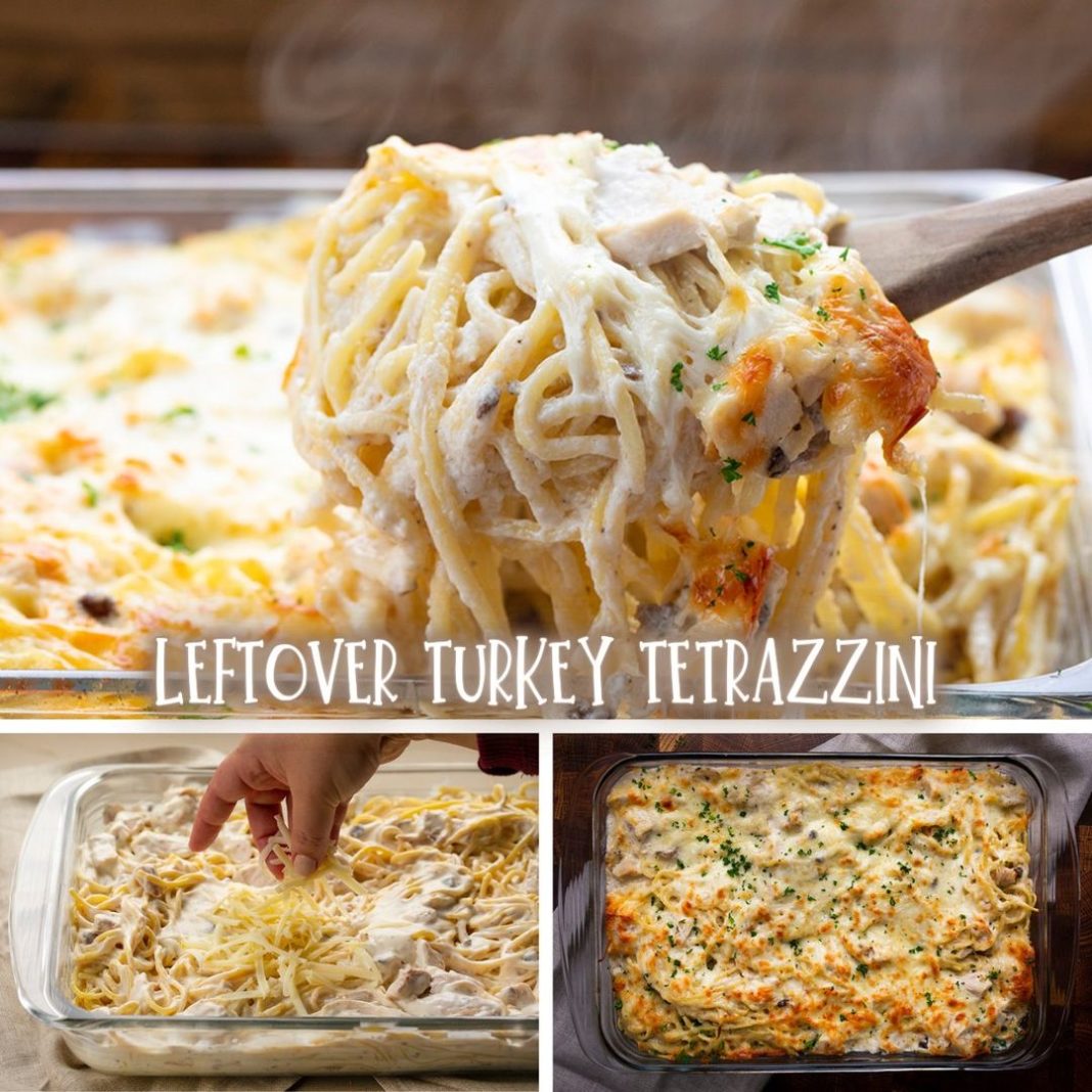 TURKEY TETRAZZINI