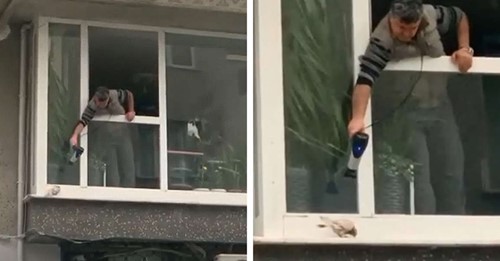 Guy Gets Creative To Warm Up A Pigeon Shivering Outside His Window ...