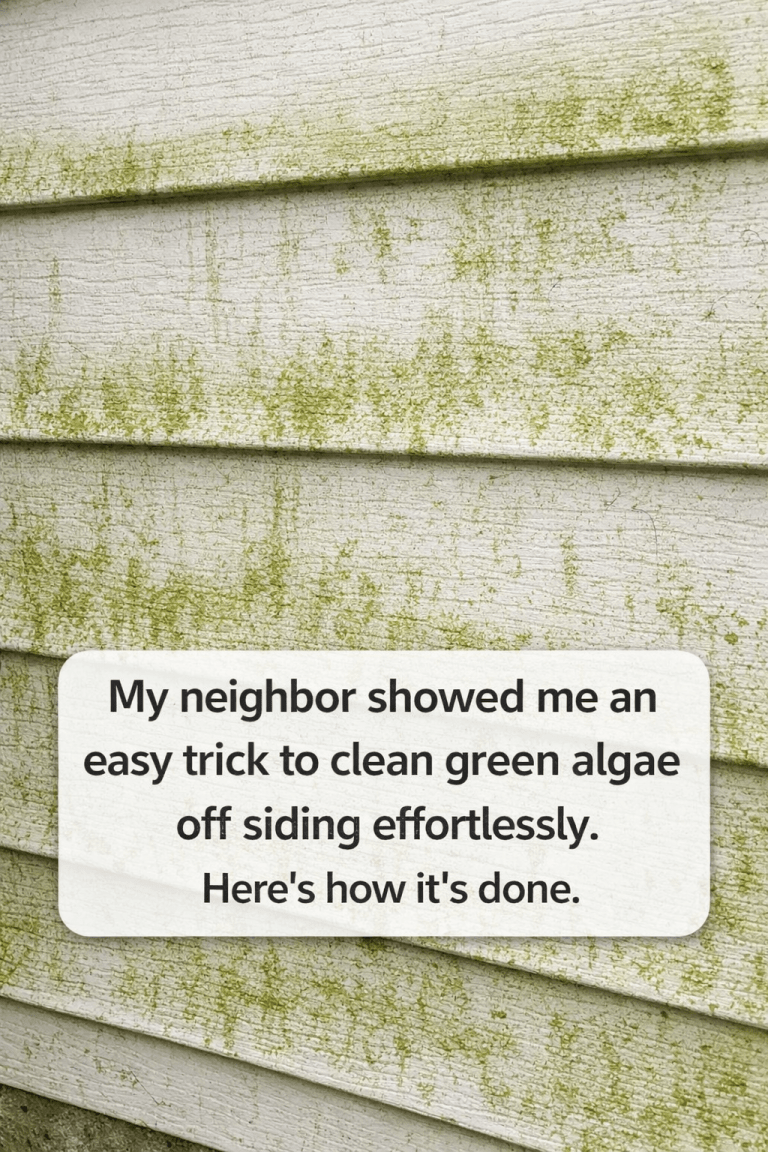 My Neighbor Taught Me This Trick to Clean Green Algae Off Siding with 0 Effort. Here’s How It Works.