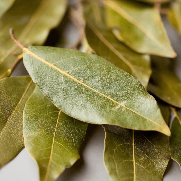 Do Bay Leaves Actually Do Anything? The Quiet Ingredient That Changes Everything